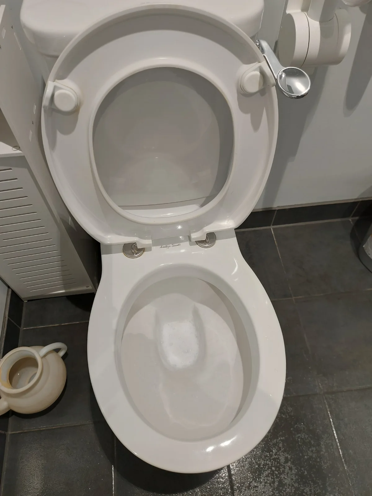 Toilet bowl, seat and hinges deep cleaned
